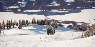 Slovenija: kako je zemlja od dva miliona ljudi postala sportska sila