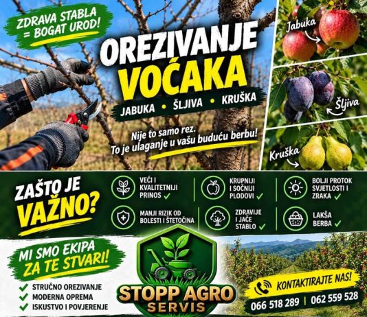🌳✂️ VOĆNJAK VAM NE TREBA SAMO OREZATI — TREBA GA OREZATI KAKO TREBA! Loš…