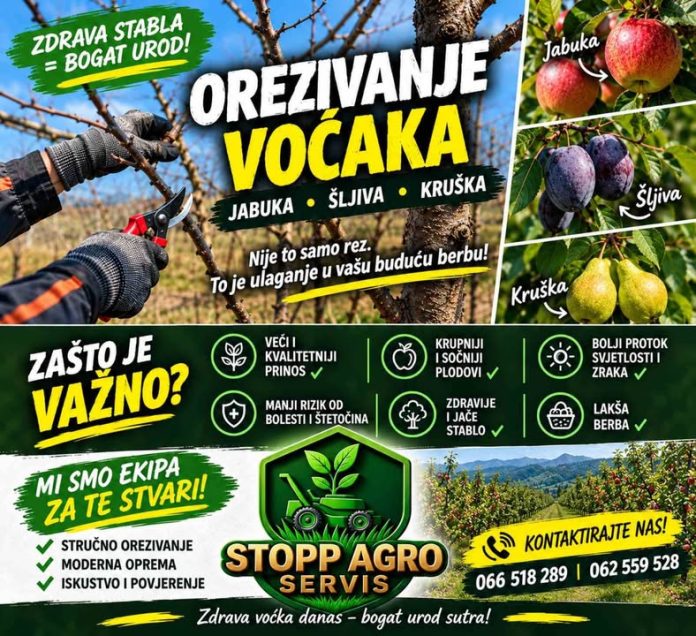 🌳✂️ VOĆNJAK VAM NE TREBA SAMO OREZATI — TREBA GA OREZATI KAKO TREBA! Loš... - Image 1